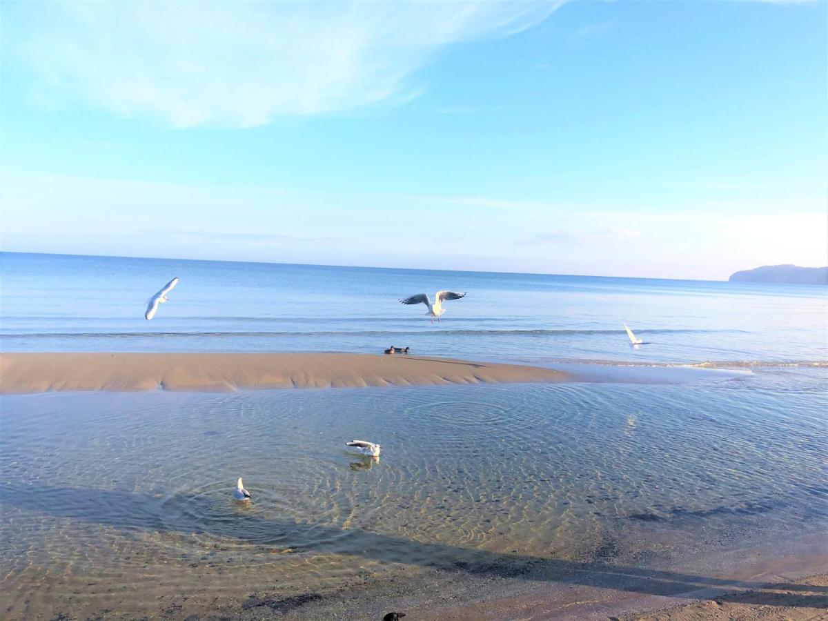 Fewo Auszeit Im Haus Strandburg 宾茨 外观 照片